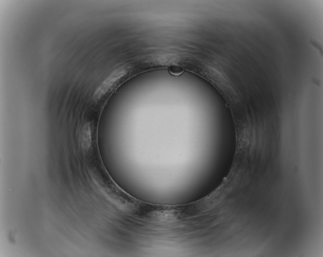 X0000103410120200809191554