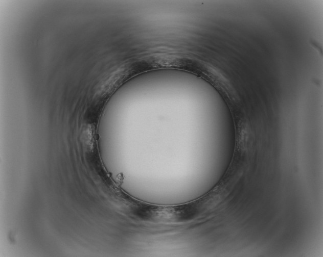 X0000103410121200809191554