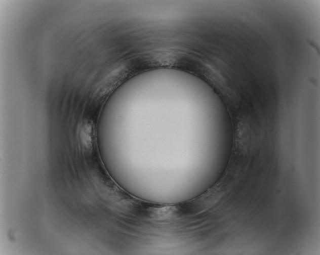 X0000103410122200809191554