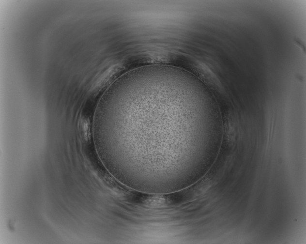 X0000103410123200809191554