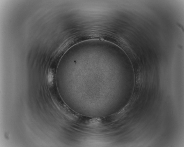 X0000103410124200809191554