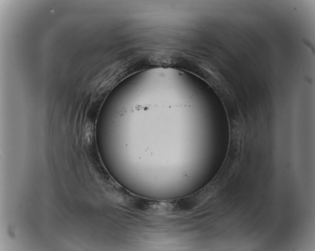 X0000103410125200809191554