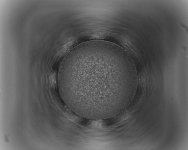 X0000103410127200809191554