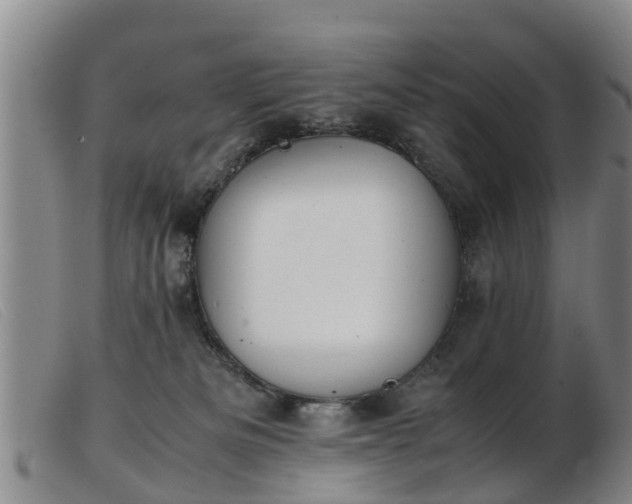 X0000103410133200809191554