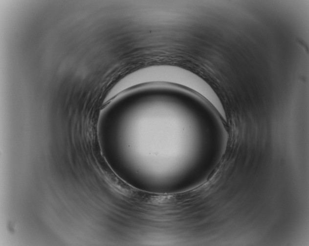 X0000103410136200809191554