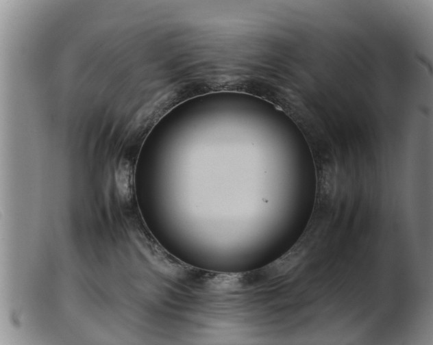 X0000103410138200809191554