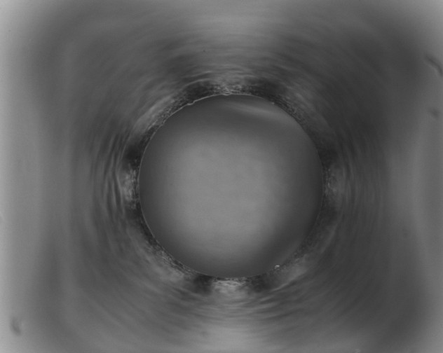 X0000103410139200809191554