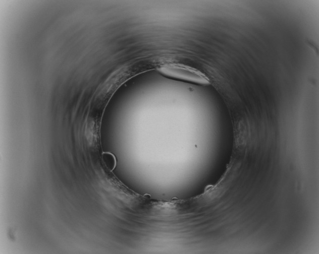 X0000103410140200809191554