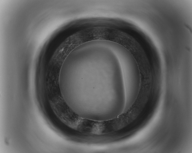 X0000103410143200809191554