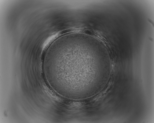 X0000103410149200809191553