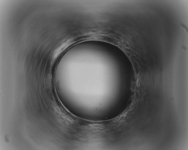 X0000103410150200809191553