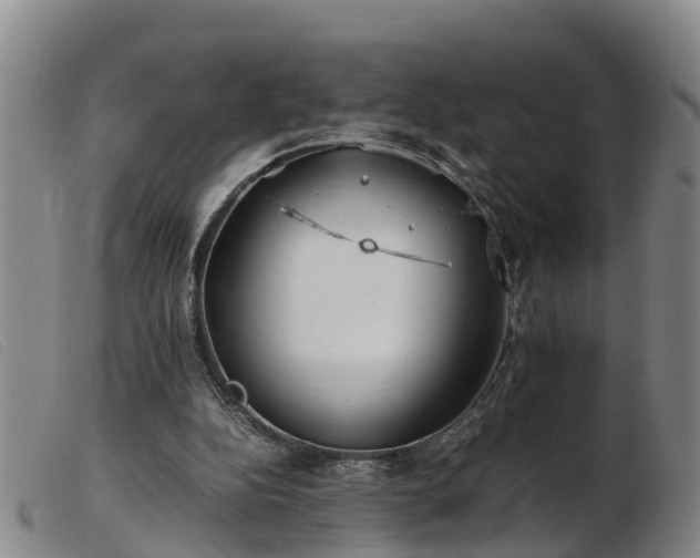 X0000103410152200809191553