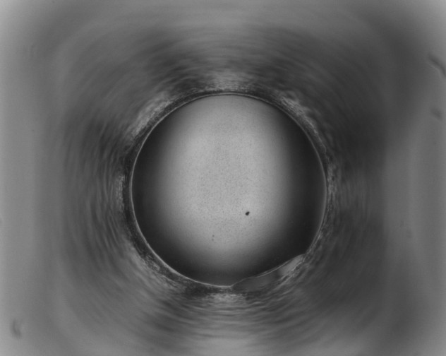 X0000103410154200809191553