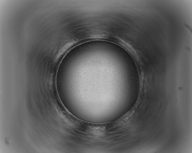 X0000103410155200809191553