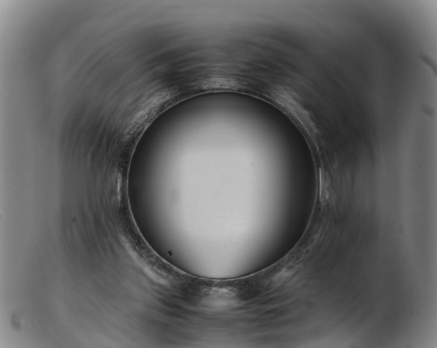 X0000103410157200809191553