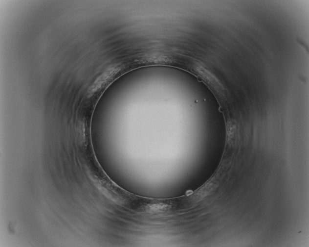 X0000103410158200809191553