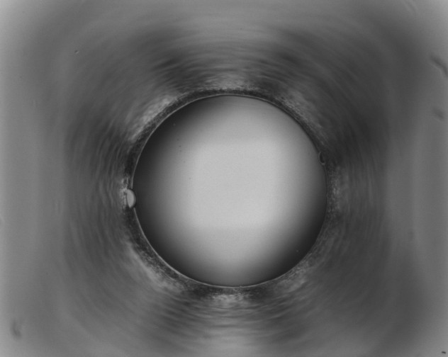 X0000103410160200809191553