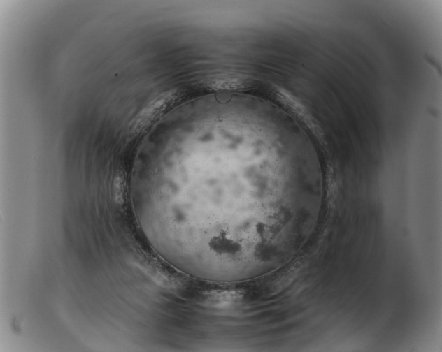 X0000103410161200809191553