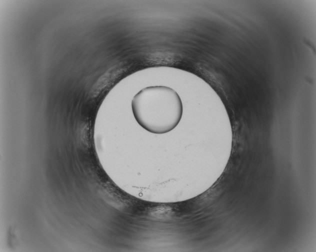 X0000103410162200809191553