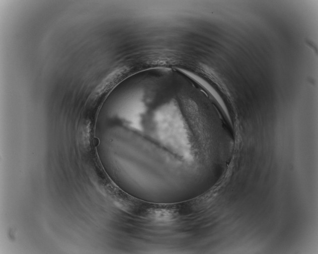 X0000103410163200809191553