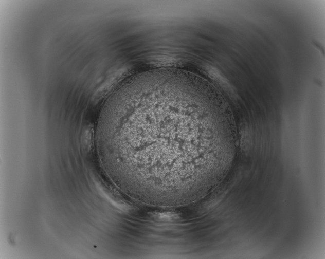 X0000103410165200809191553