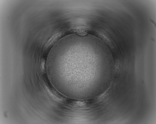 X0000103410166200809191553