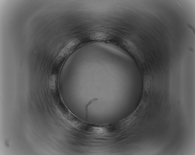 X0000103410167200809191553