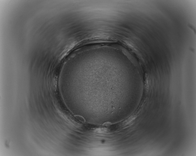 X0000103410168200809191553