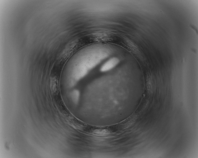 X0000103410169200809191553