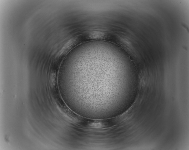 X0000103410171200809191553