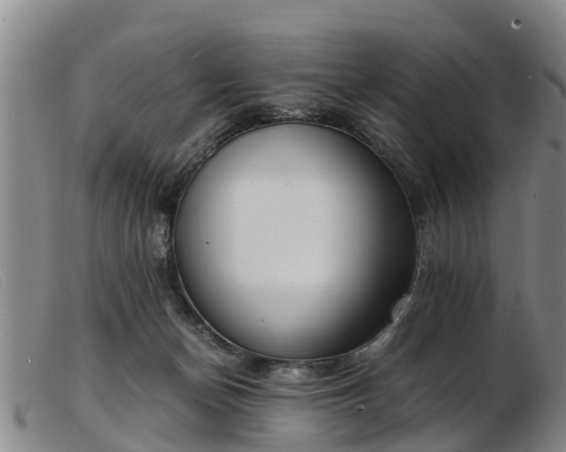 X0000103410174200809191553