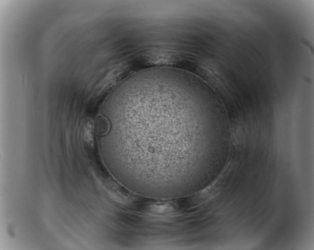 X0000103410175200809191554