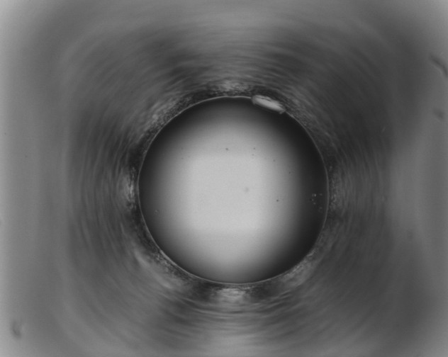 X0000103410176200809191554