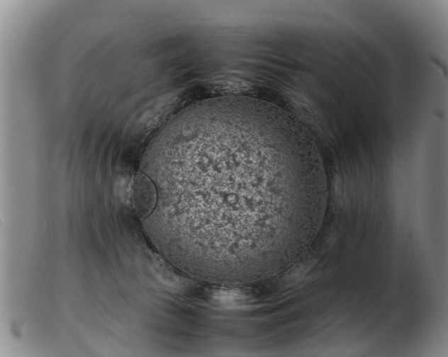 X0000103410177200809191554