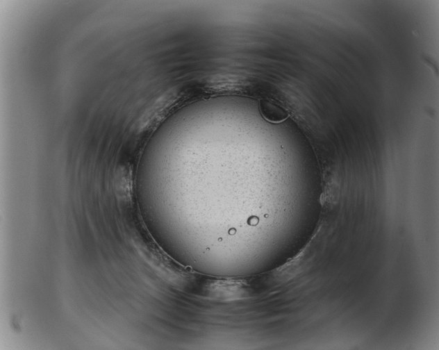 X0000103410179200809191554