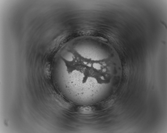 X0000103410181200809191554