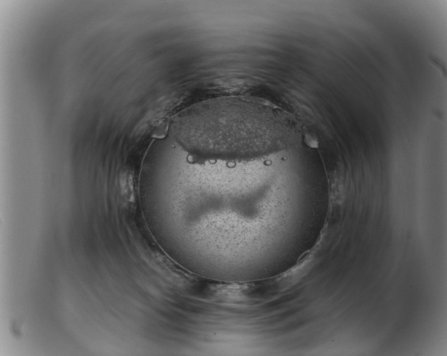 X0000103410182200809191554