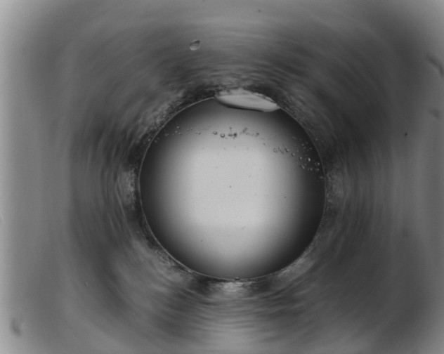 X0000103410184200809191554