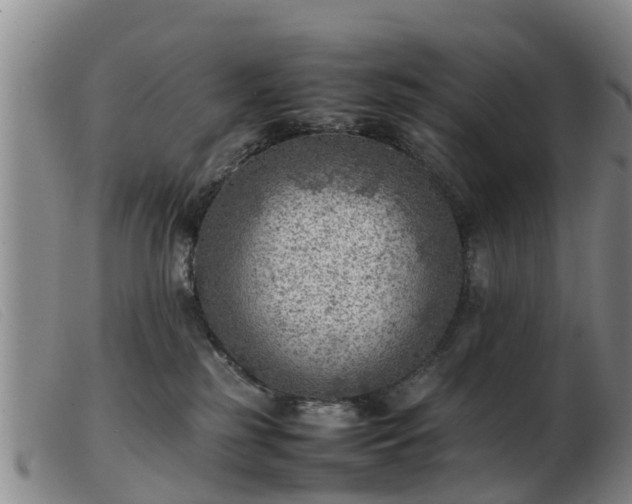 X0000103410185200809191554