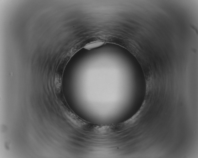 X0000103410186200809191554