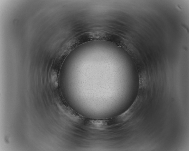 X0000103410187200809191554