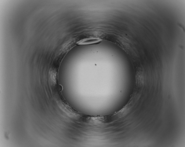 X0000103410188200809191554