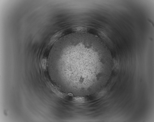 X0000103410189200809191554