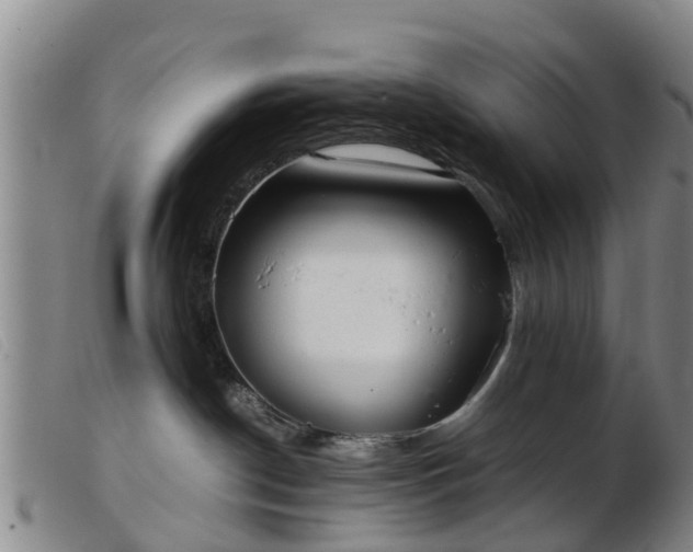 X0000103410190200809191554