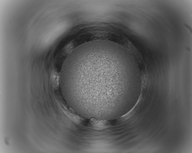 X0000103410191200809191554