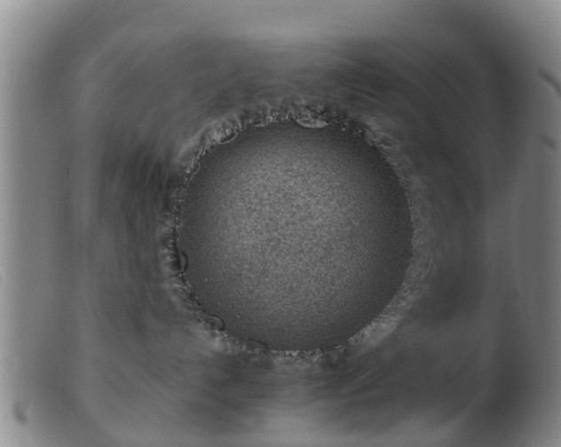 X0000103410192200809191554