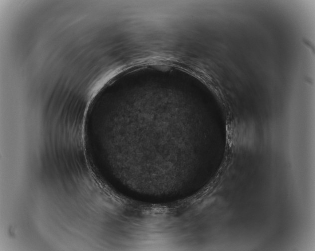 X0000103410196200809191553