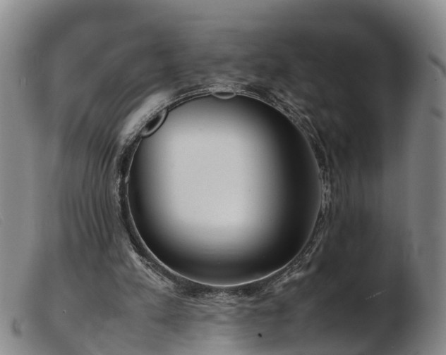 X0000103410197200809191553