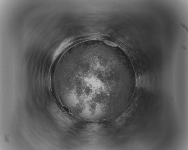 X0000103410198200809191553