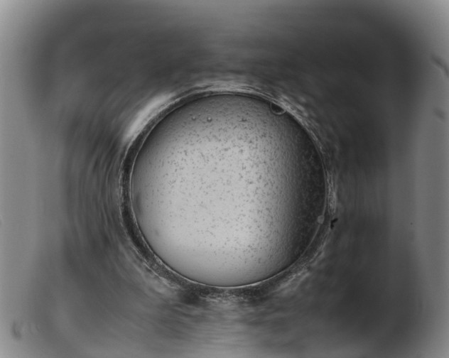 X0000103410199200809191553